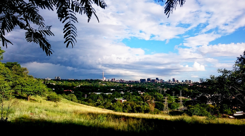 Green of Melville koppies with Johannesburg skyline in distance